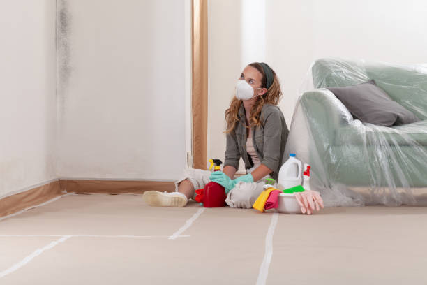 Reliable Mold Remediation contractor in Central Lake, MI by WQB Mold Removal